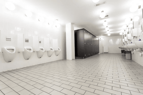 Améliorer les Toilettes Scolaires pour le Succès des Étudiants à Montréal et au Québec